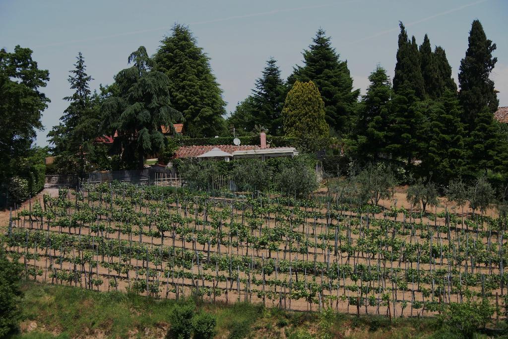 Agriturismo Podere La Fornace Cavriglia Eksteriør bilde