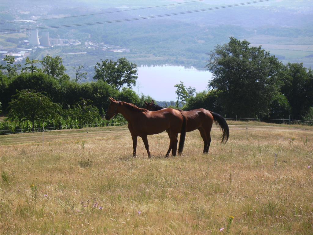 Agriturismo Podere La Fornace Cavriglia Eksteriør bilde
