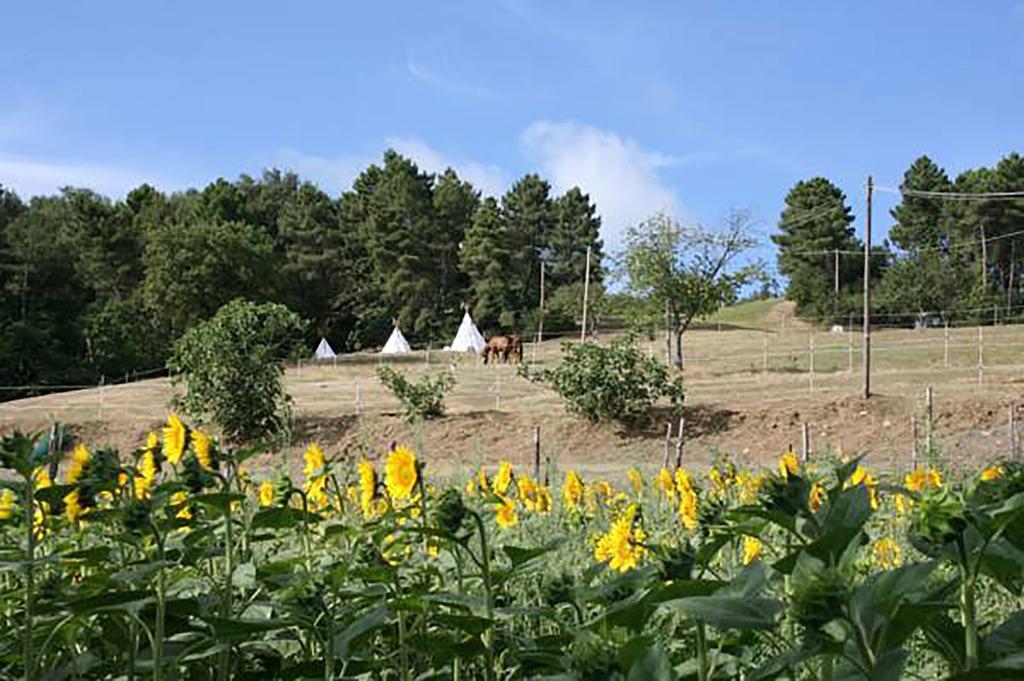Agriturismo Podere La Fornace Cavriglia Eksteriør bilde